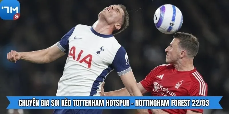 Chuyên gia soi kèo Tottenham Hotspur - Nottingham Forest 22/03